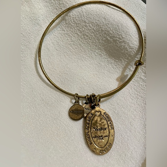 Lot of 14 ALEX & ANI meaningful bracelets, entire lot $121 (total value of $797) - Picture 6 of 14